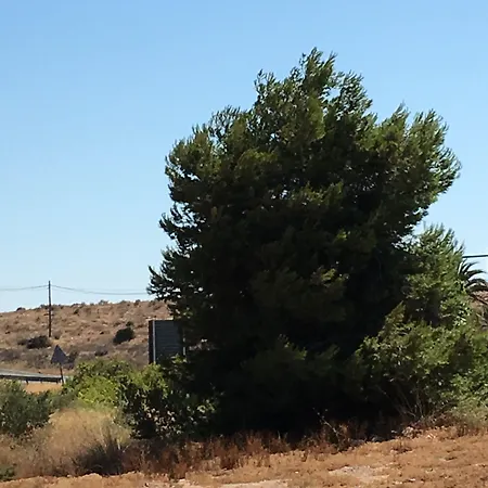 Penzion Meseguer El Altet