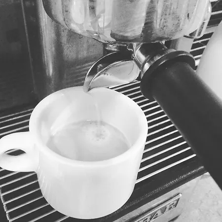 Pensionat Meseguer El Altet