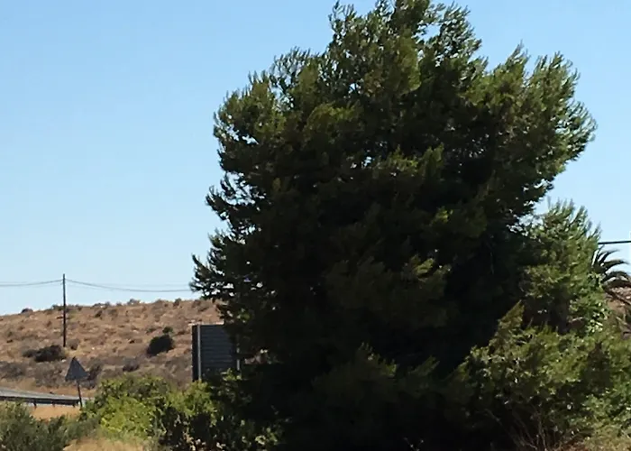 Vendégház Meseguer El Altet